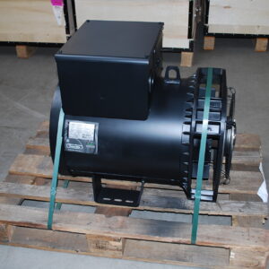 Mecc Alte ECP34 2S/4C-100KVA Alternator